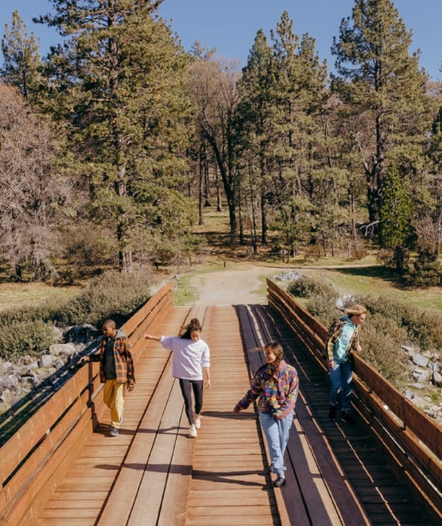 Four explorers, walking across a bridge.