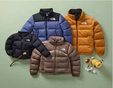 A laydown of Nuptse Jackets for men, women and kids on a light green background. 