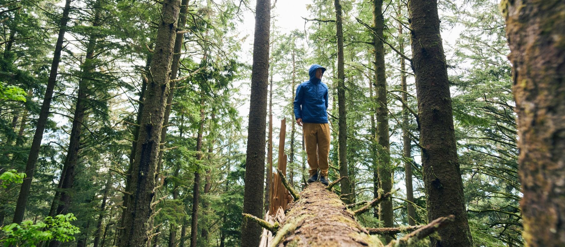 Une personne se tient en équilibre sur un arbre tombé dans les bois, vêtue d’un article imperméable The North Face. 