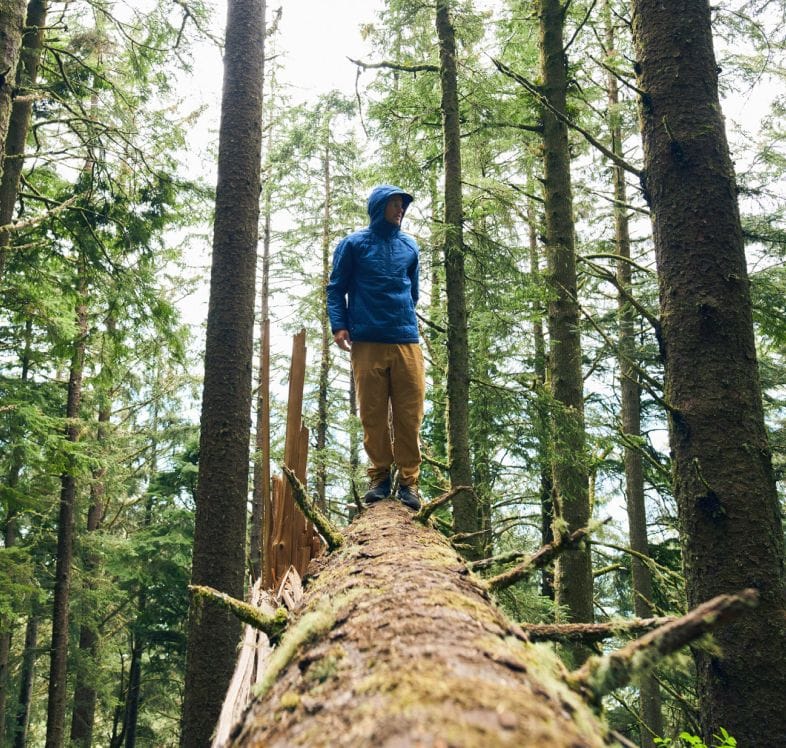 Une personne se tient en équilibre sur un arbre tombé dans les bois, vêtue d’un article imperméable The North Face. 