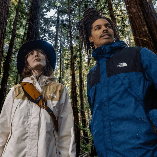 Deux randonneurs vêtus de vestes imperméables se tiennent sous d’imposants séquoias. 