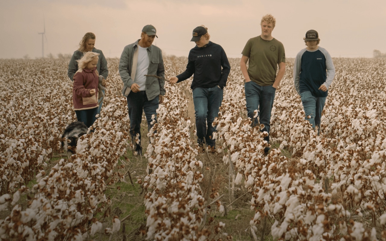 A family of farmers are walking through their cotton field.